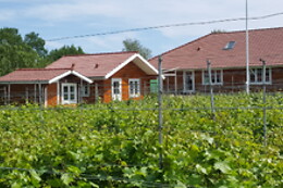 Nyballe B&B & Vinsmagning