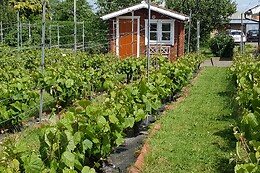 Nyballe B&B & Vinsmagning