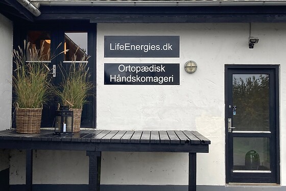 Life Energies - photo 0