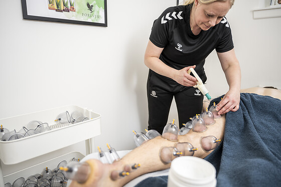 Din Sportsterapeut - photo 17