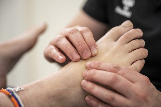 Din Sportsterapeut - photo 10