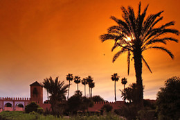 Hotels Online