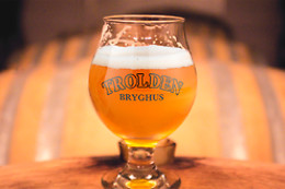 Trolden Bryghus