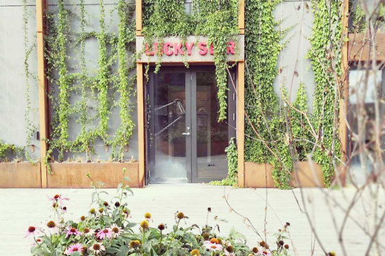 Lucky Star - photo 0