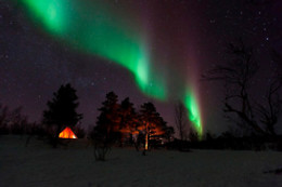 Wild Lapland
