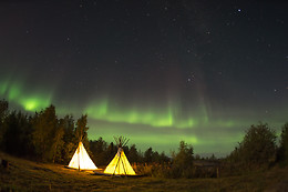 Wild Lapland