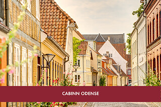 CITYOPHOLD I DANMARK