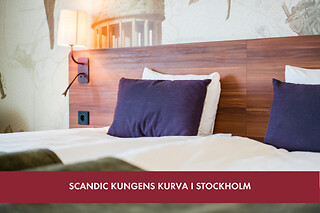 3 DAGES OPHOLD I SKANDINAVIEN