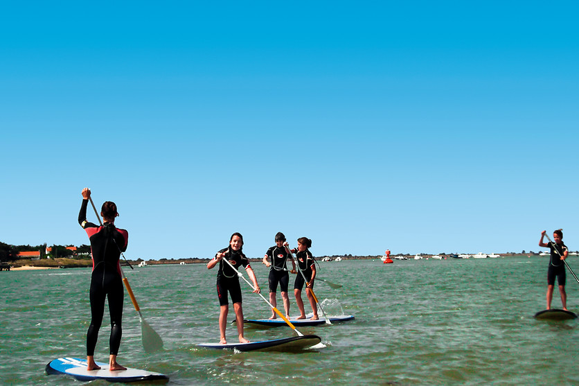 Tre personer står på paddleboards og padler på et grønt, stille hav under blå himmel