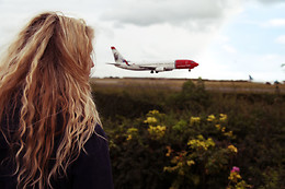 Flyvergrillen