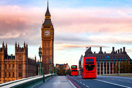 Hotels Online