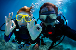 Kingfish Dive & Travel