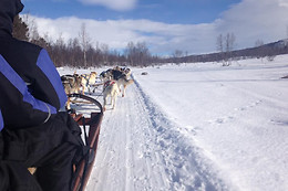 Wild Lapland