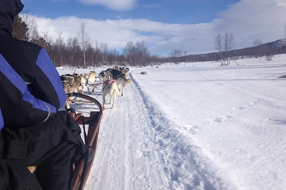 Wild Lapland - photo 11