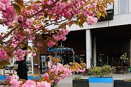 Cafe Sirius