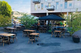 Cafe Sirius
