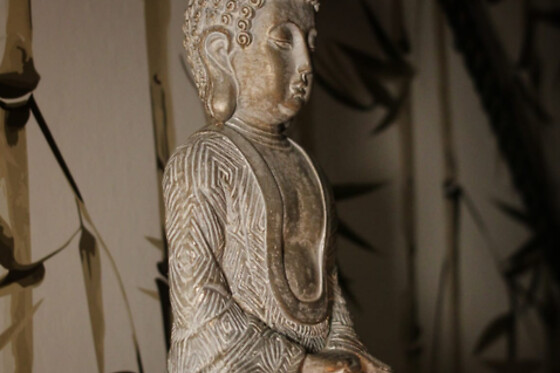 MERY WELLNESS CENTER - photo 7