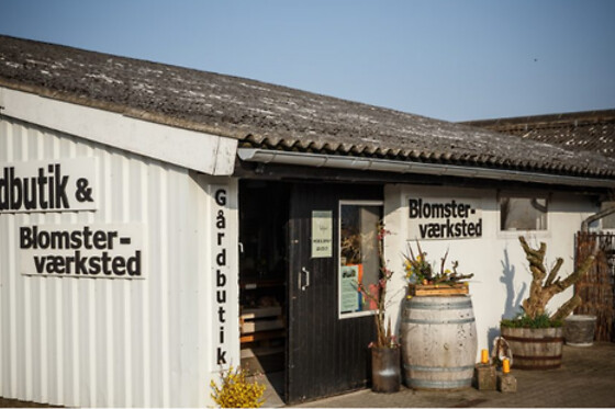 Tinnetgaard - photo 0