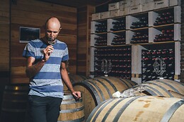 Domaine Plaisance Penavayre