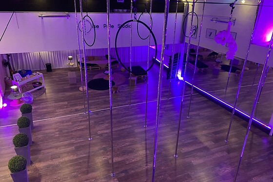 O Pole Studio - photo 4