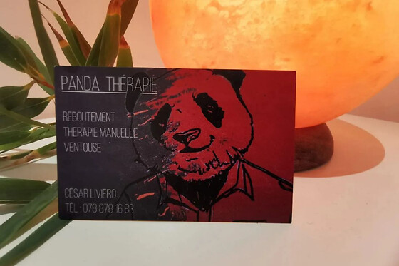 Panda Thérapie Nyon - photo 3