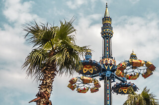 TIVOLI WILD CARD