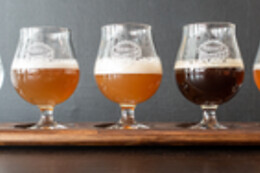 Fredericia Brewpub