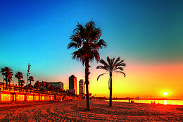 Hotels Online