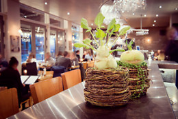 Café Faust