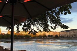 Cafe Livingstone