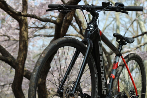 Unlimited Biking - photo 4