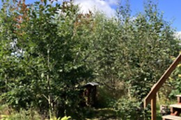 Obitsøminde