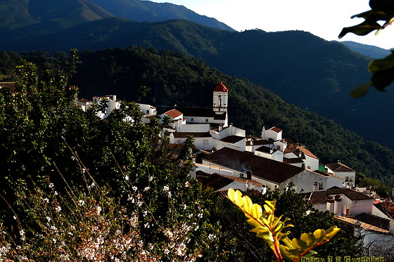 LA POSADA DEL RECOVERO - photo 6