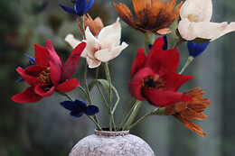 Evigblomst