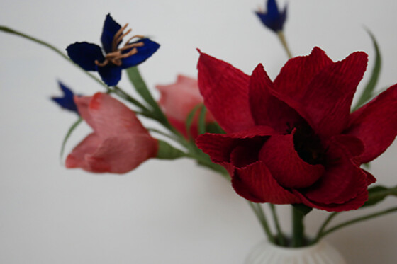 Evigblomst - photo 0