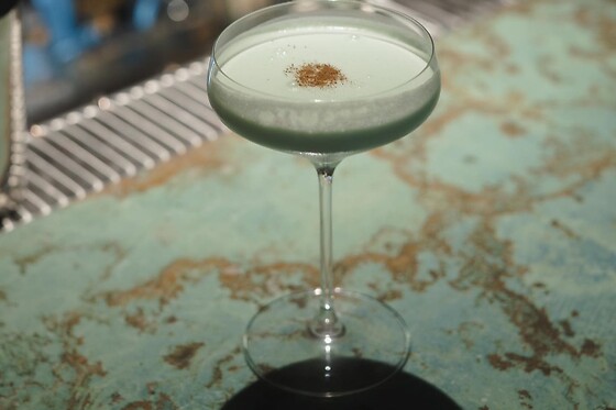 Lazy Dog - photo 6