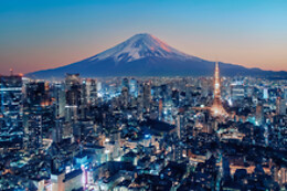 Hotels Online