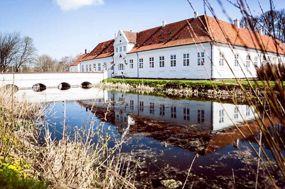 Store Restrup Herregaard - photo 3