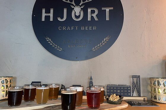 Hjort Beer - photo 8