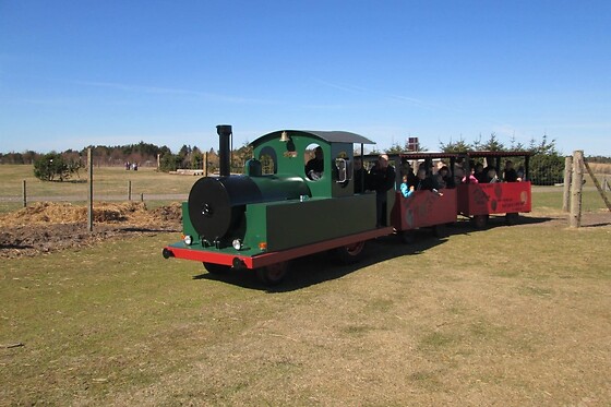 Fun Park Hirtshals - photo 3