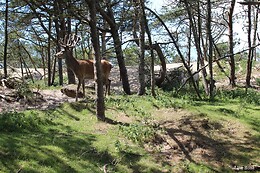 Fun Park Hirtshals