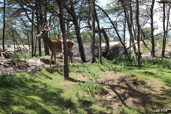 Fun Park Hirtshals - photo 1
