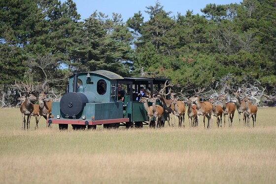 Fun Park Hirtshals - photo 2
