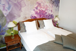 Hotel Vildbjerg