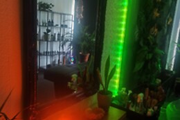 ROase Headspa