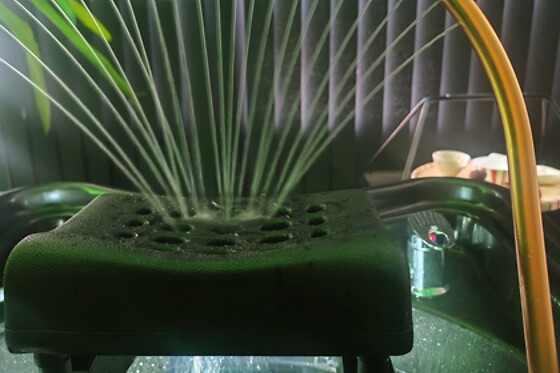 ROase Headspa - photo 6
