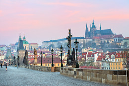 Hotels Online