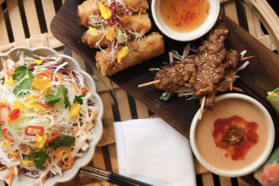 The Vietnamese - photo 4