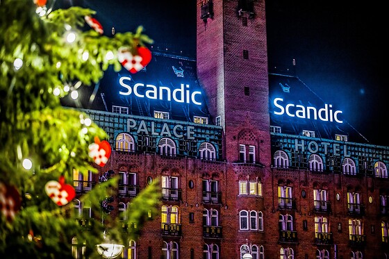 Scandic Palace Hotel - photo 10