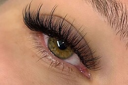 Victoria Lashes